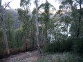 0505-1750 Corin dam (1030827)